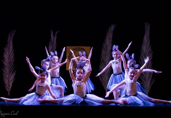 Initiation à la danse